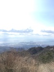IMG_7583.jpg