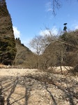 IMG_7587.jpg