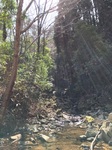 IMG_7593.jpg