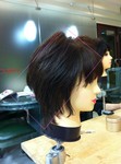 IMG_9287.jpg
