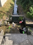 B170C06C-89A7-4E8A-88BF-638711CAD1F7.jpeg
