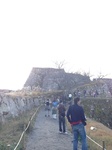 IMG_1189.jpg