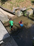 IMG_1349.jpg