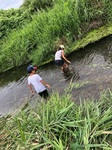 IMG_1363.jpg