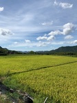 IMG_1404.jpg