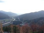 IMG_3613.jpg